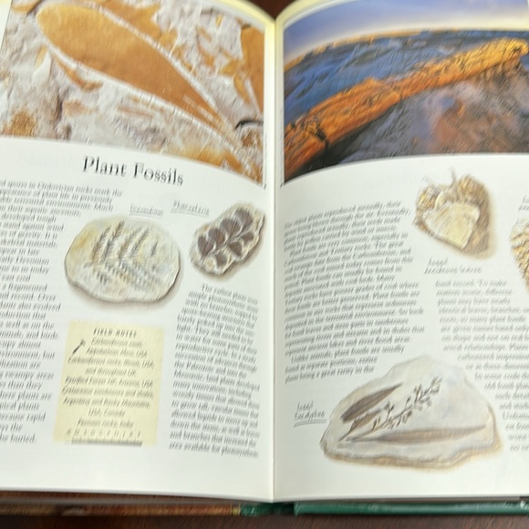 Rocks & Fossils Hardcover Book ~ Time Life Books - Picture 6 of 8